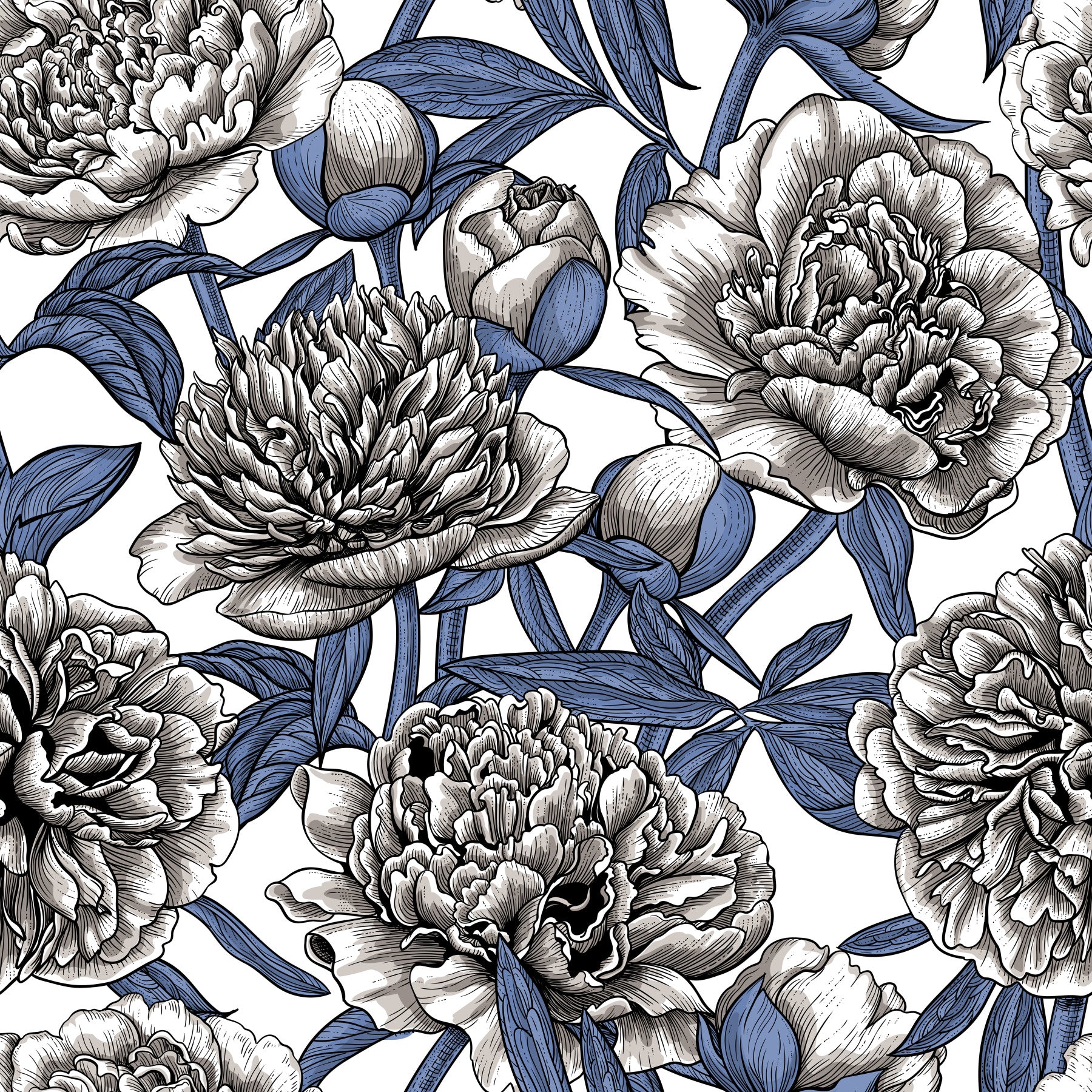 Papier peint vintage bleu et crème avec pivoines gravées