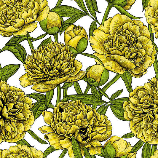 Golden Peony Blossom Wallpaper Wallpaper⁠