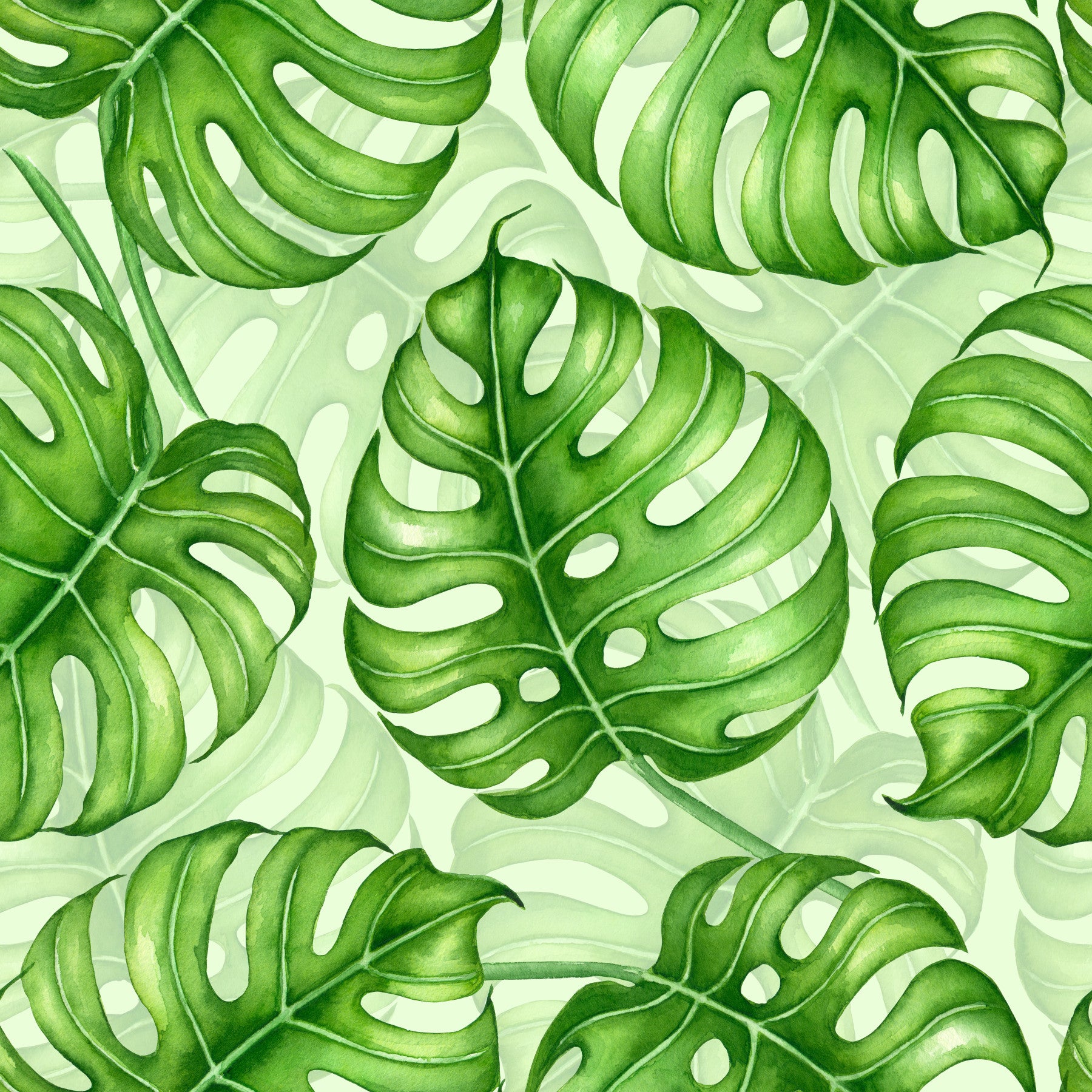 Monstera Aquarell in Grün Tapete⁠