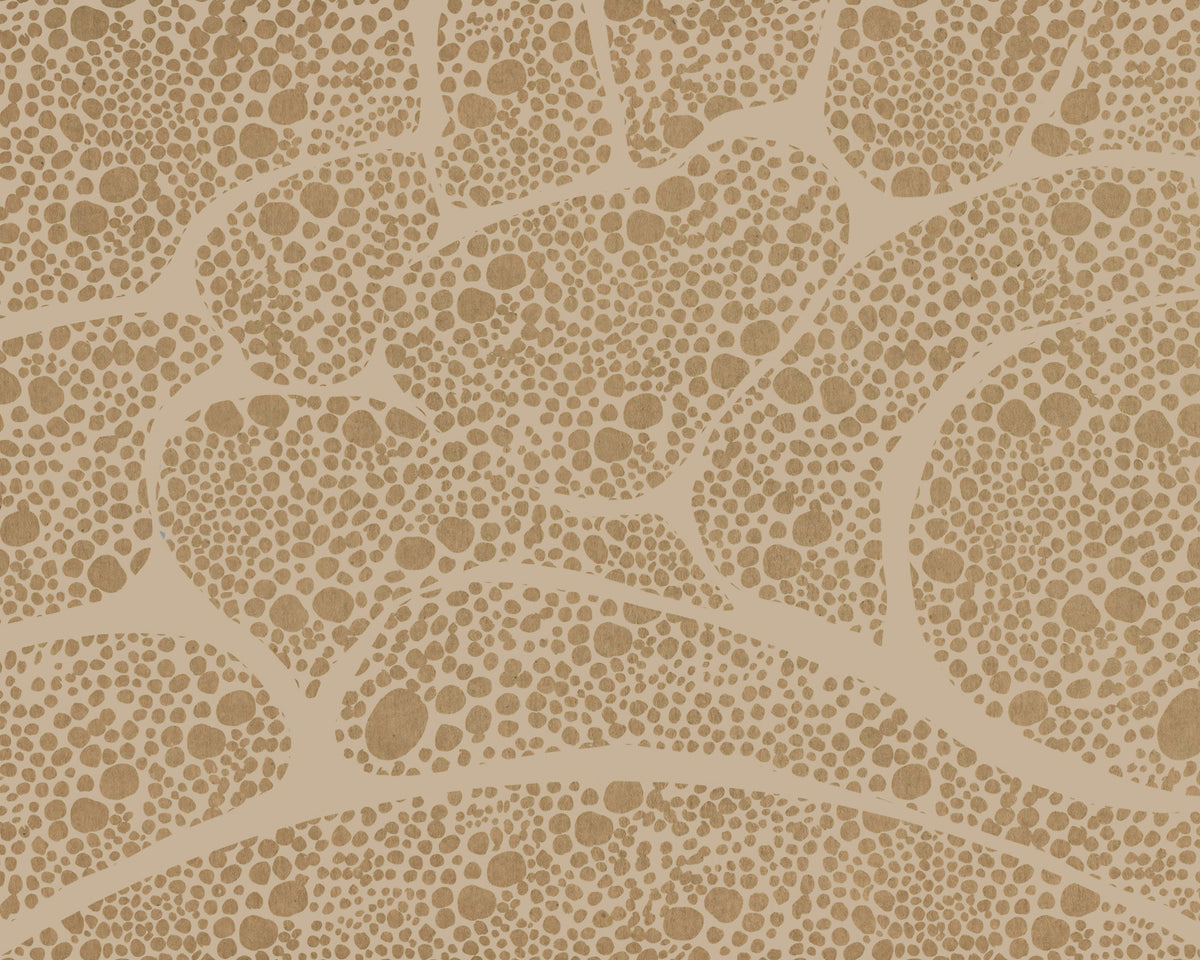 Papier peint mural texturé Cellule de galets organiques in your room — zoomed