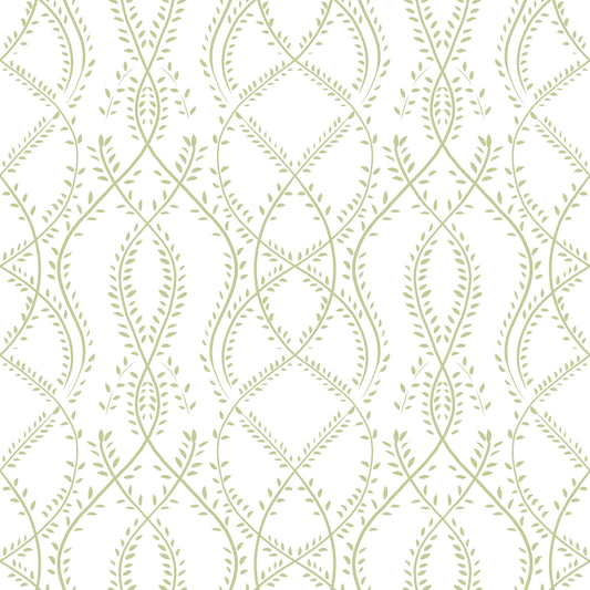 Sage Green Intertwined Botanical Vines Wallpaper Wallpaper⁠