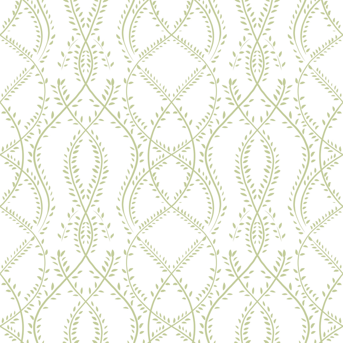 Papier peint treillis de vigne botanique vert sauge in your room — zoomed