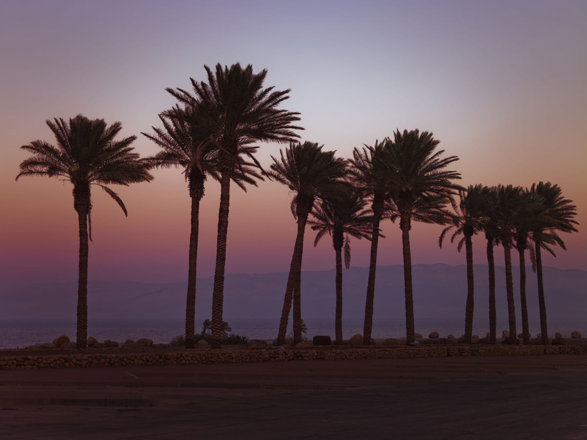 Muurdecoratie Schemering Palm Silhouetten Over Schemerzee in your room