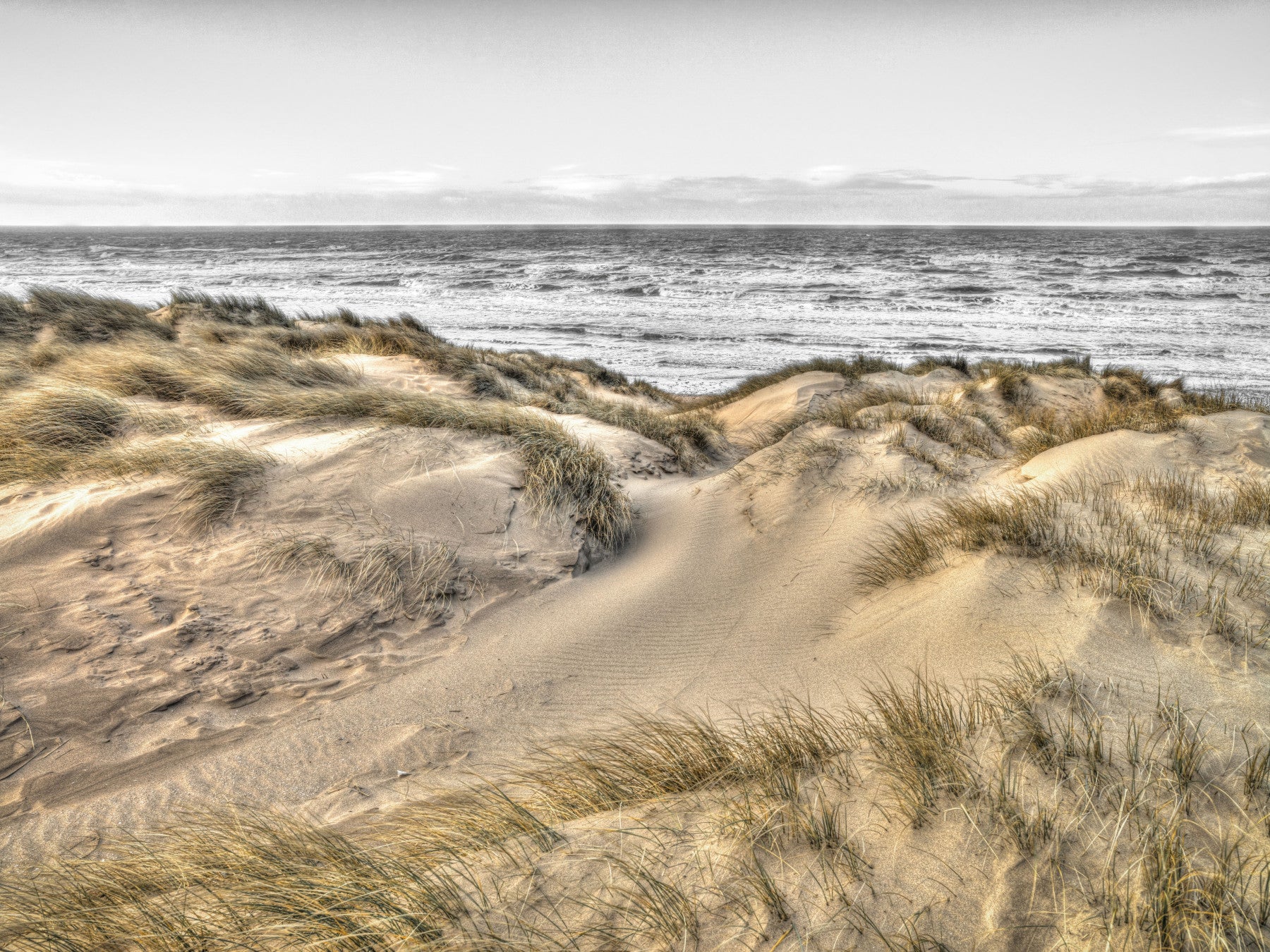 Pictură murală Dune Winds și Coastal Tide