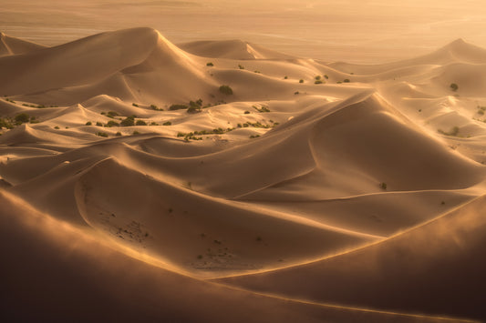 Fototapet Dune de Deșert în Ora de Aur