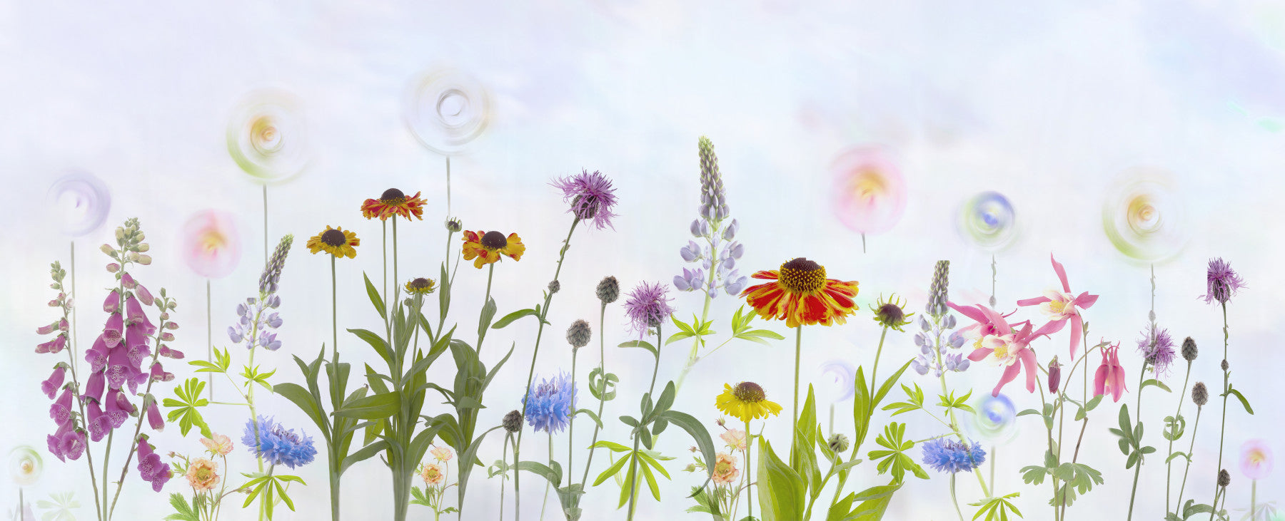 Dromerige Pastel Wilde Bloementuin Muurmuurdecoratie