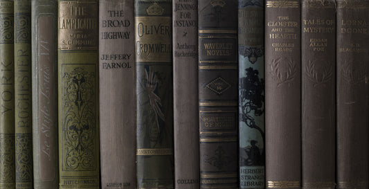 Vintage Library Book Spine Collection Wall Mural