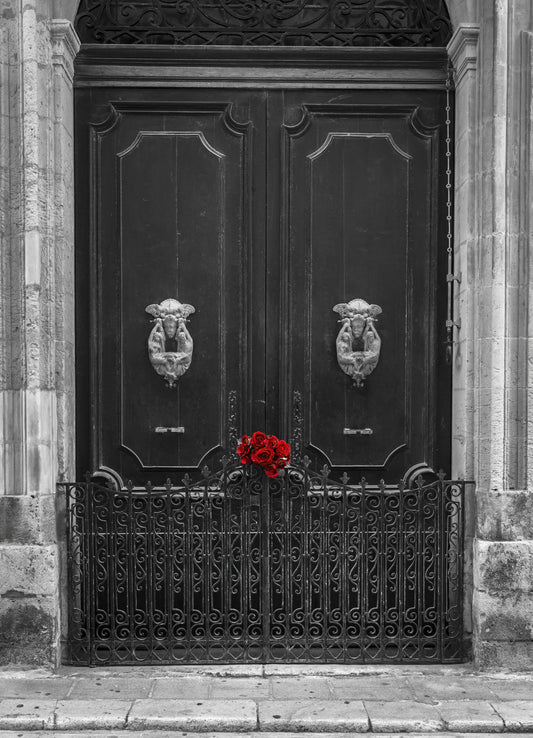 Wandbild mit scharlachroten Rosen auf antikem Eisentor