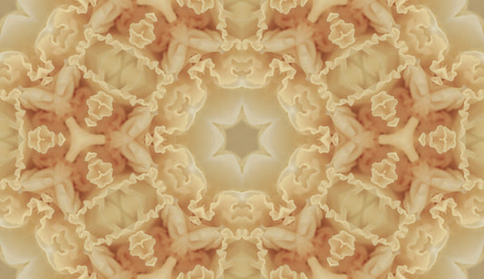 Papel de Parede Kaleidoscópio com Folhos Pêssego Suave