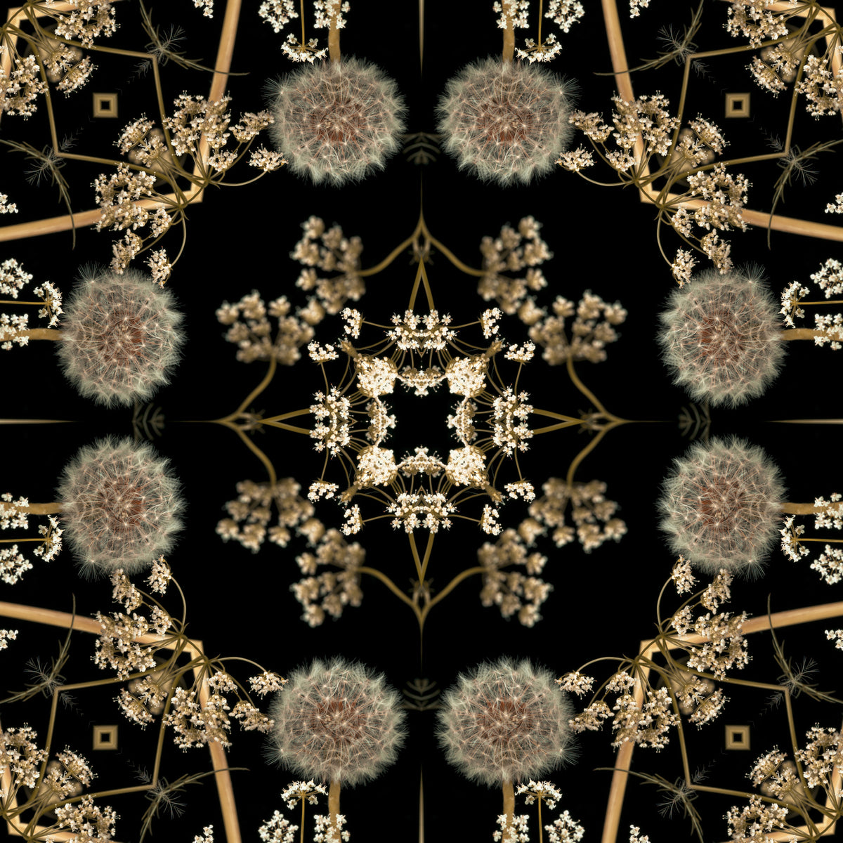 Midnight Dandelion Mandala Wallpaper⁠ in your room