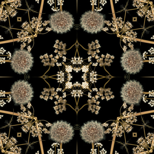 Papel de Parede Mandala Dente-de-leão da Meia-noite