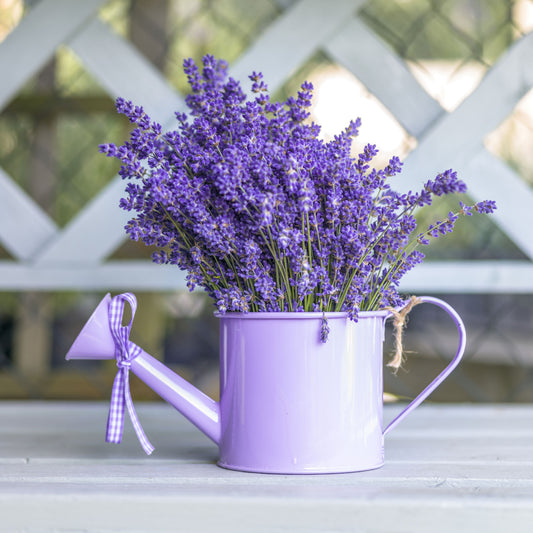 Fresque murale de jardin avec arrosoir violet lavande
