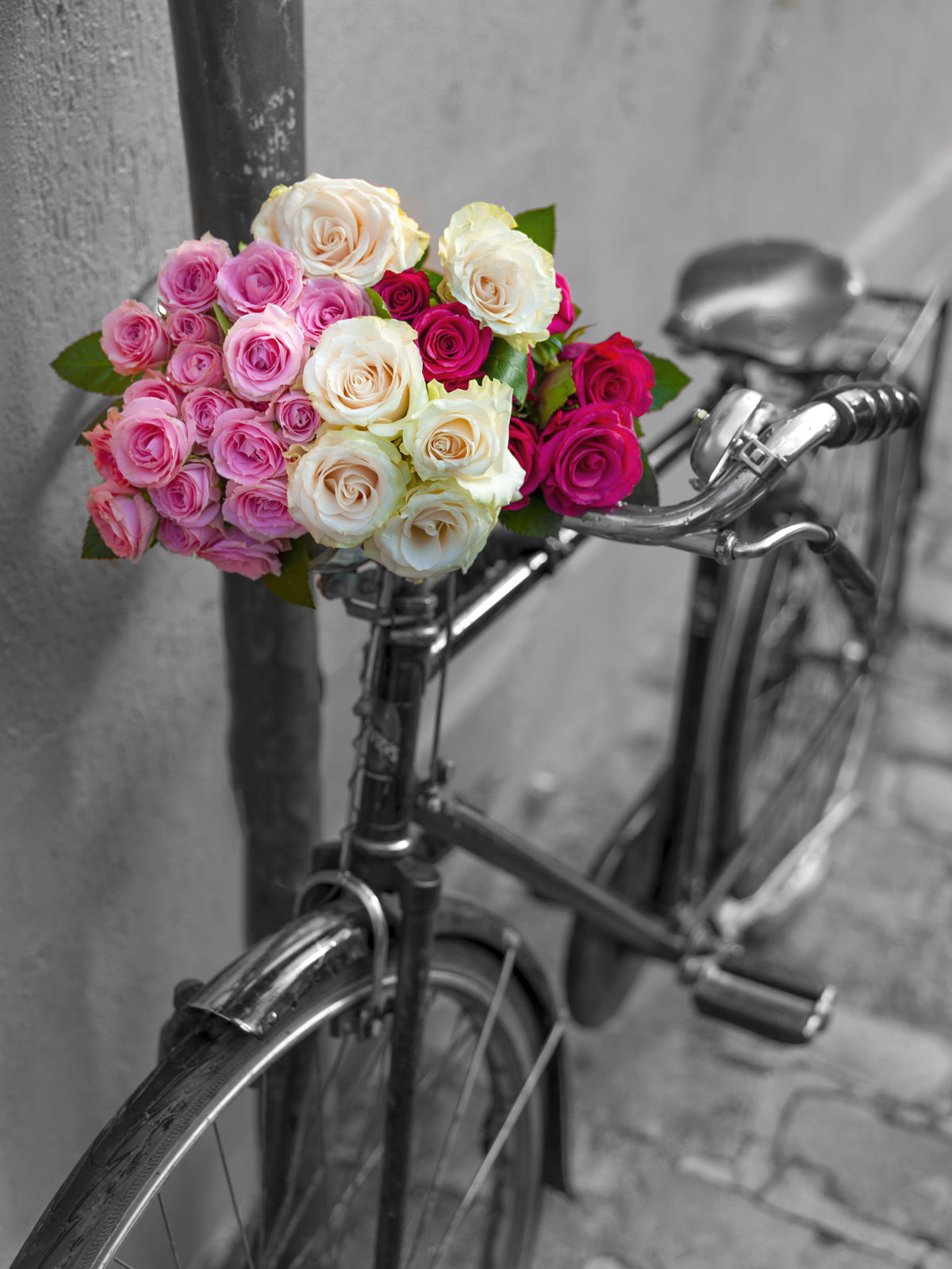 Wandbild Vintage Blumen Fahrradreise in your room — zoomed