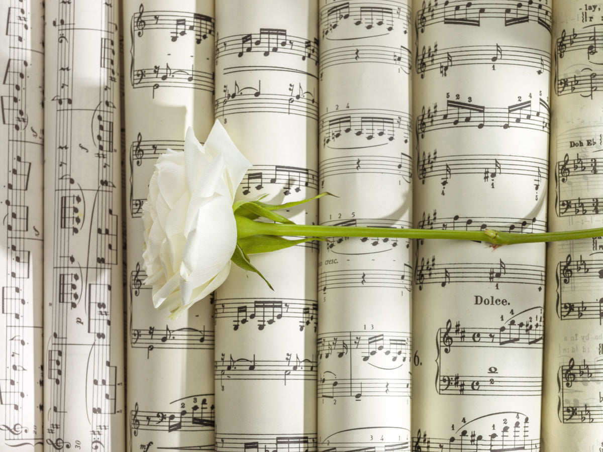Murale da parete Melodic White Bloom Harmony in your room — zoomed