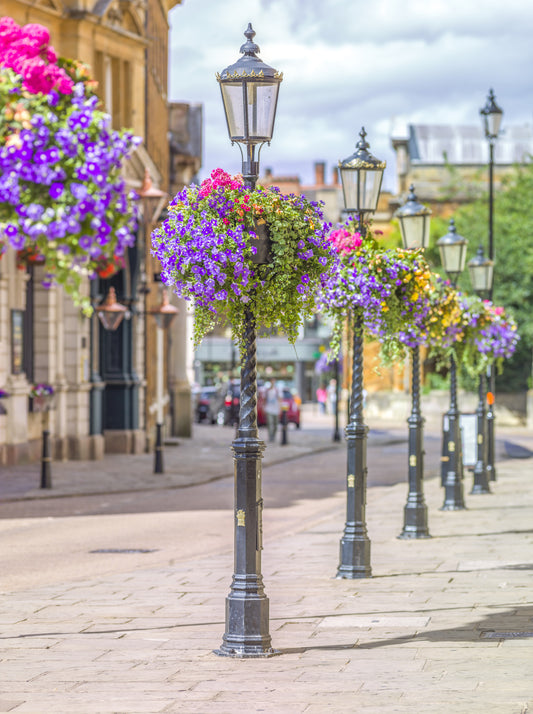 English Garden Street Vista Väggmålning