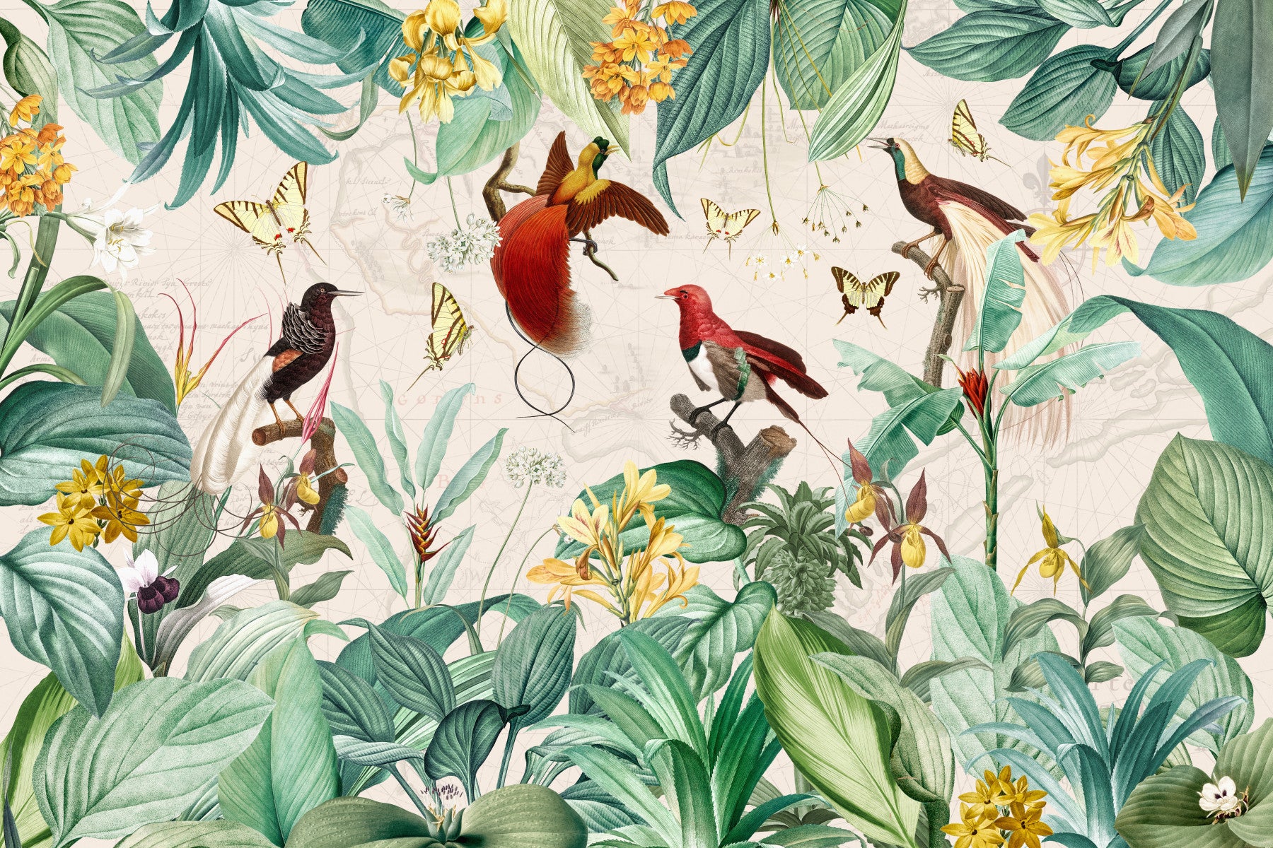 Papier peint mural vintage havre d'oiseaux botaniques