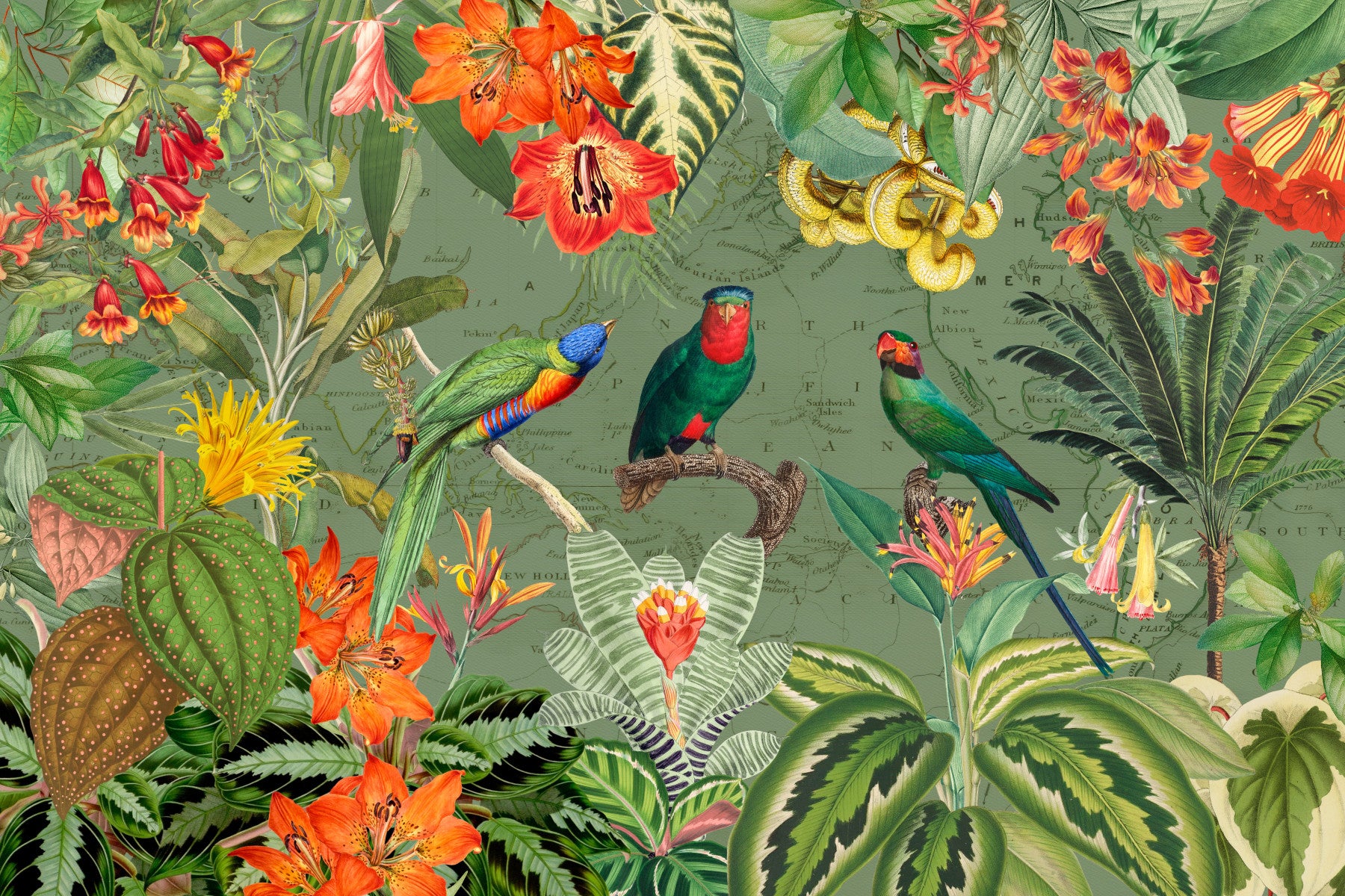 Exotic Botanical Explorer Mural Wall Mural