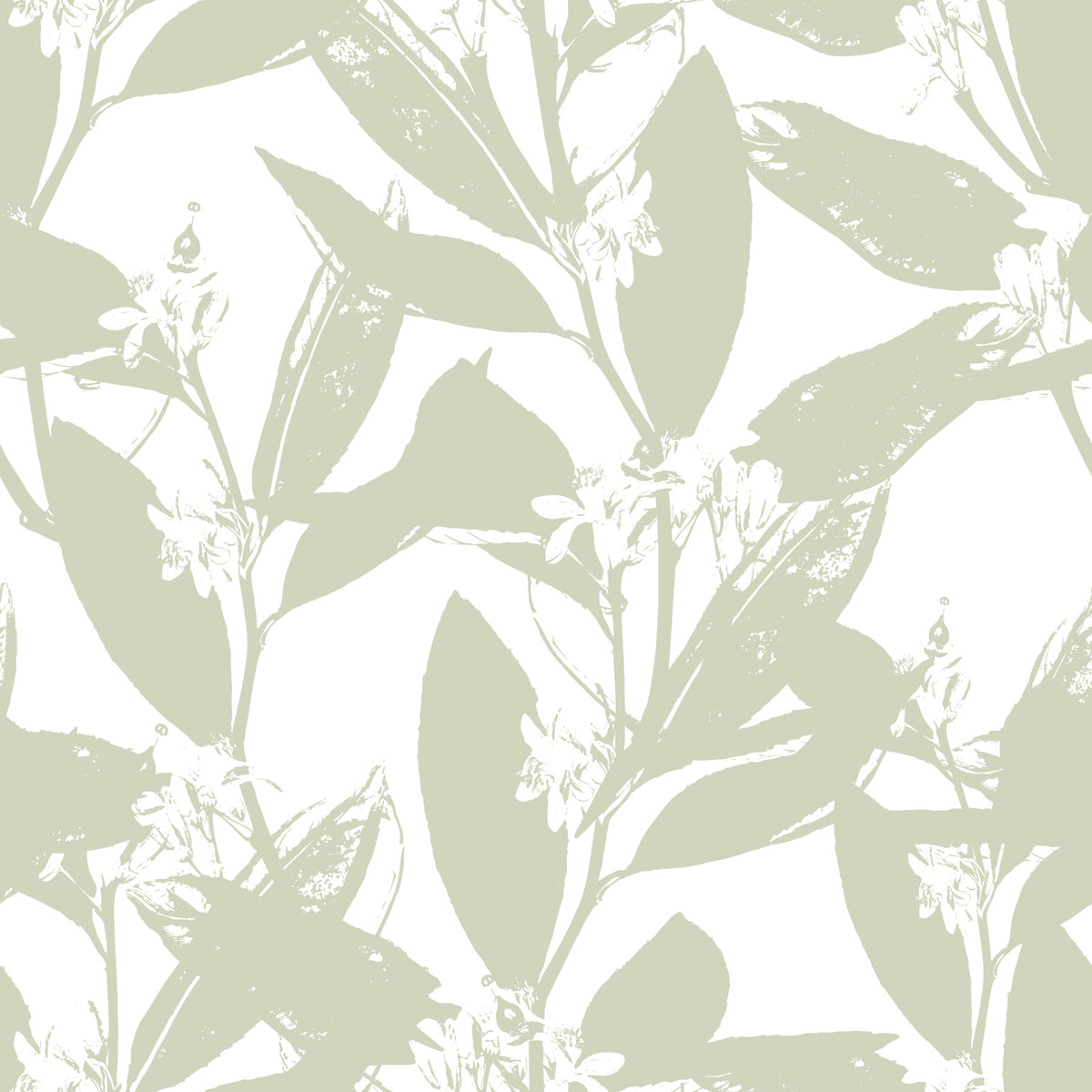 Myk salvie botanisk trykk tapet in your room — zoomed