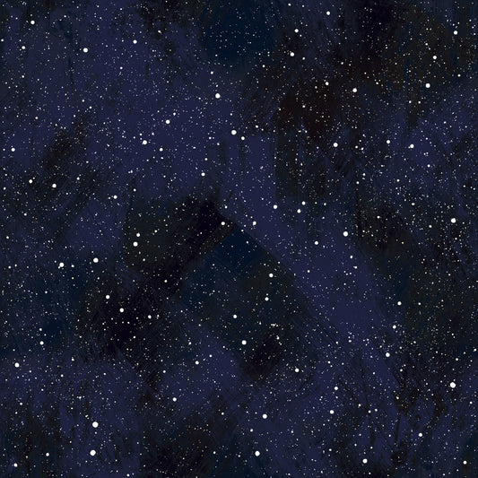 Carta da parati Midnight Stardust Ink Wash
