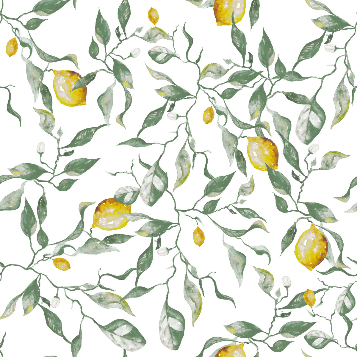 Mediterrane Zitrushaine Illustration Tapete⁠ in your room