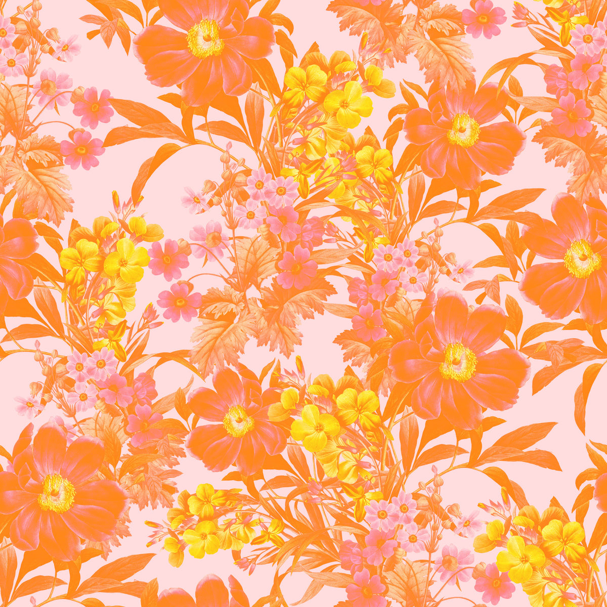 Sunset Orchard Botaniske Blomster Tapet⁠ in your room