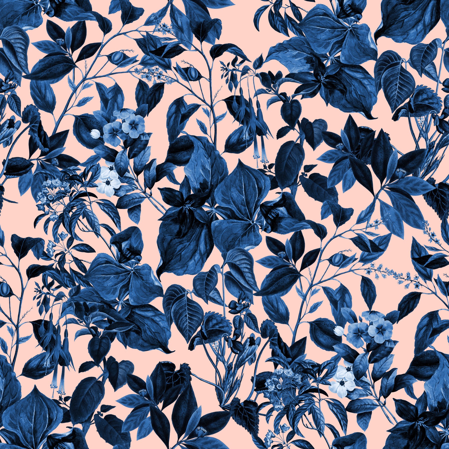 Papier peint à motif botanique Indigo Grove