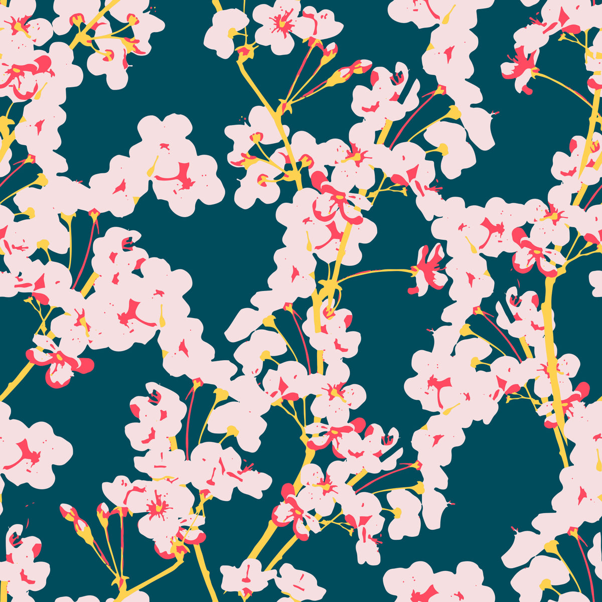 Midnattsblommande körsbärsblomsspår – tapet in your room — zoomed