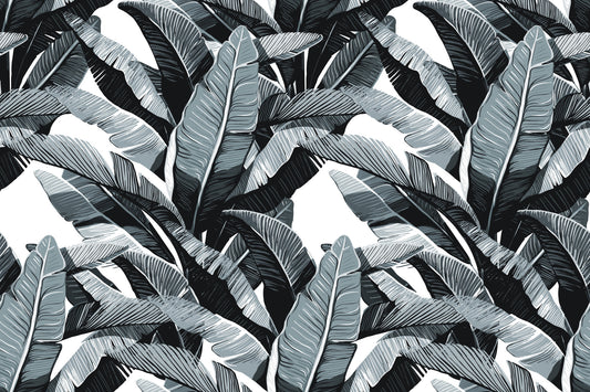 Monochrome Tropical Palm Fronds Wallpaper⁠