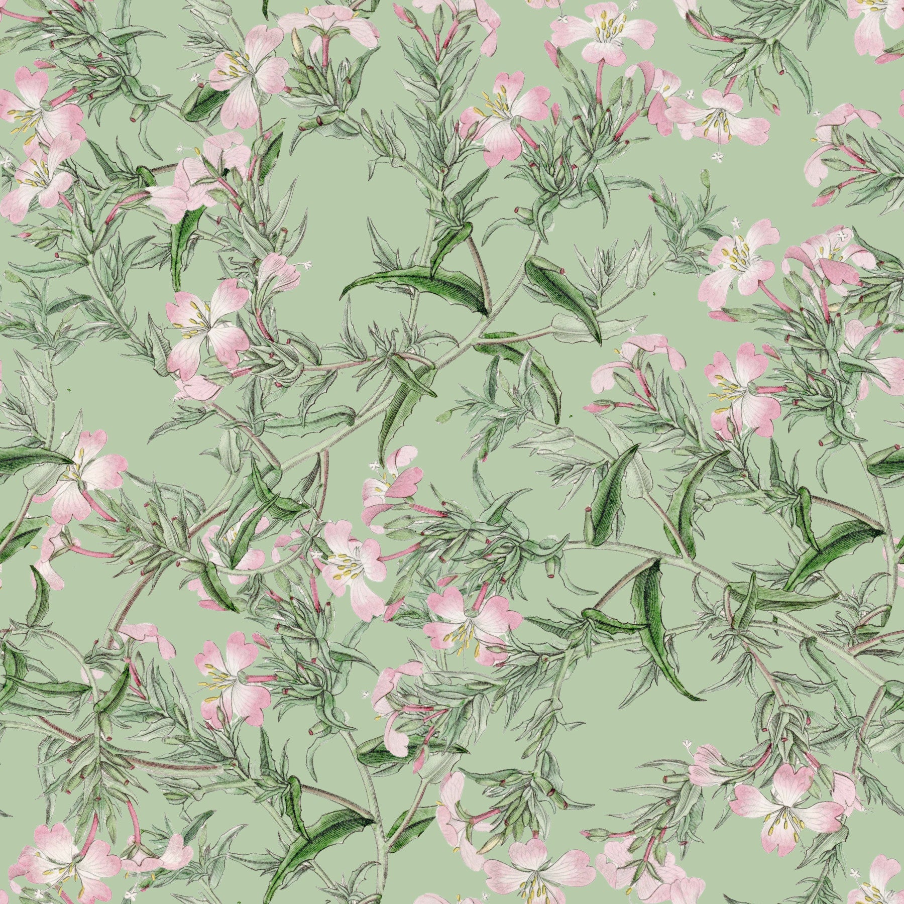 Sanfte salbeigrüne florale botanische Wiesen-Tapete