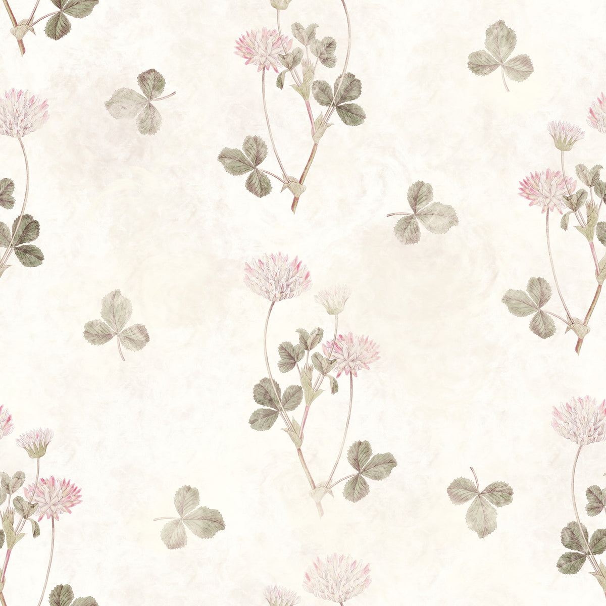 Tapet med vintage botanisk kløverillustration in your room — zoomed