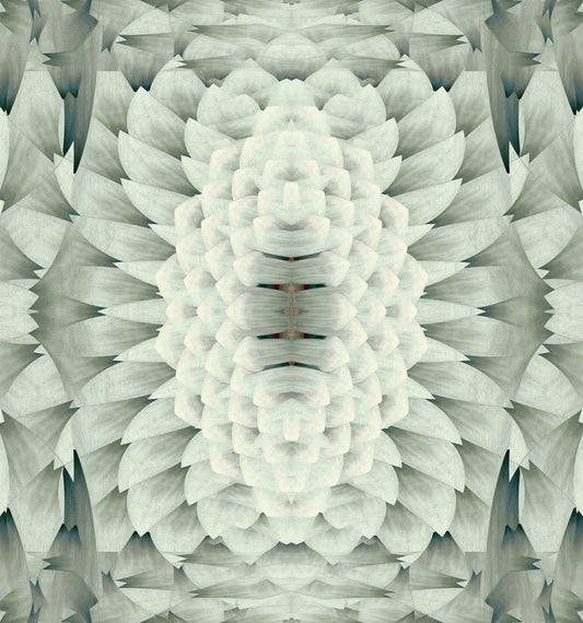 Monochromatic Sculptural Geometric Flower - GARDENIA Wall Mural