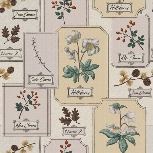 Botanical Winter Specimen Herbarium Wallpaper⁠