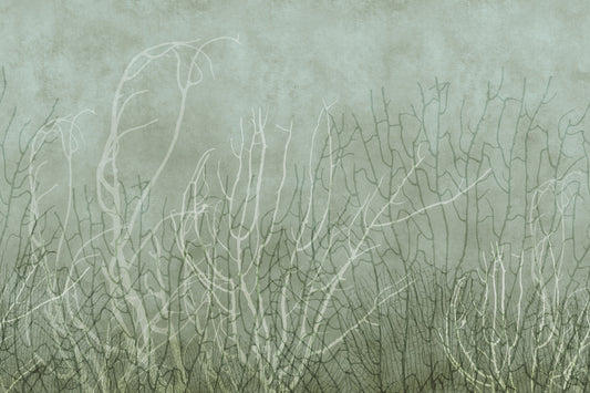 Sea Fans - Pool Wall Mural