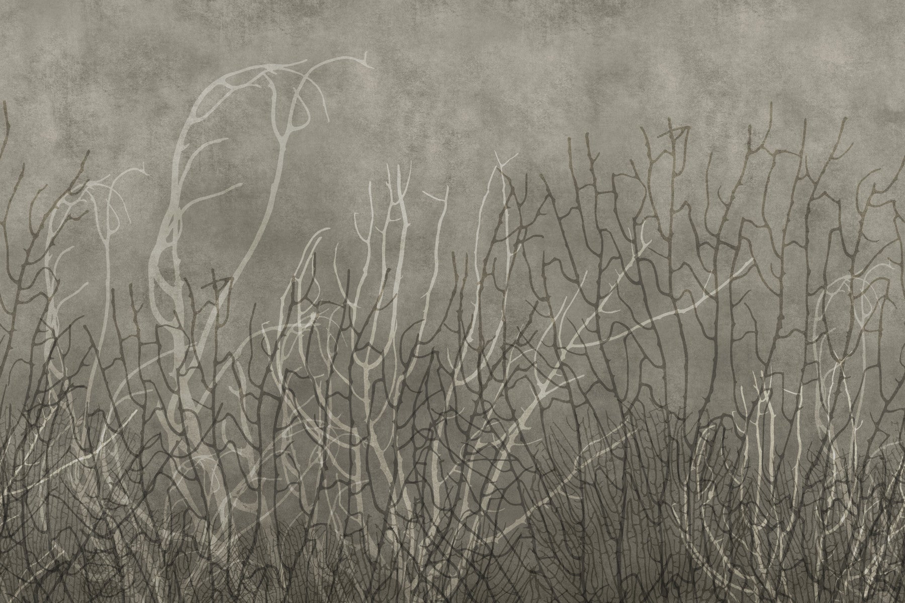 Evantaie marine – fototapet mural grej