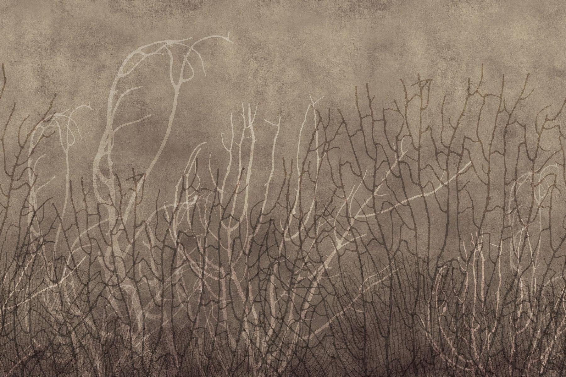 Sea Fans - Golden Taupe  Wall Mural