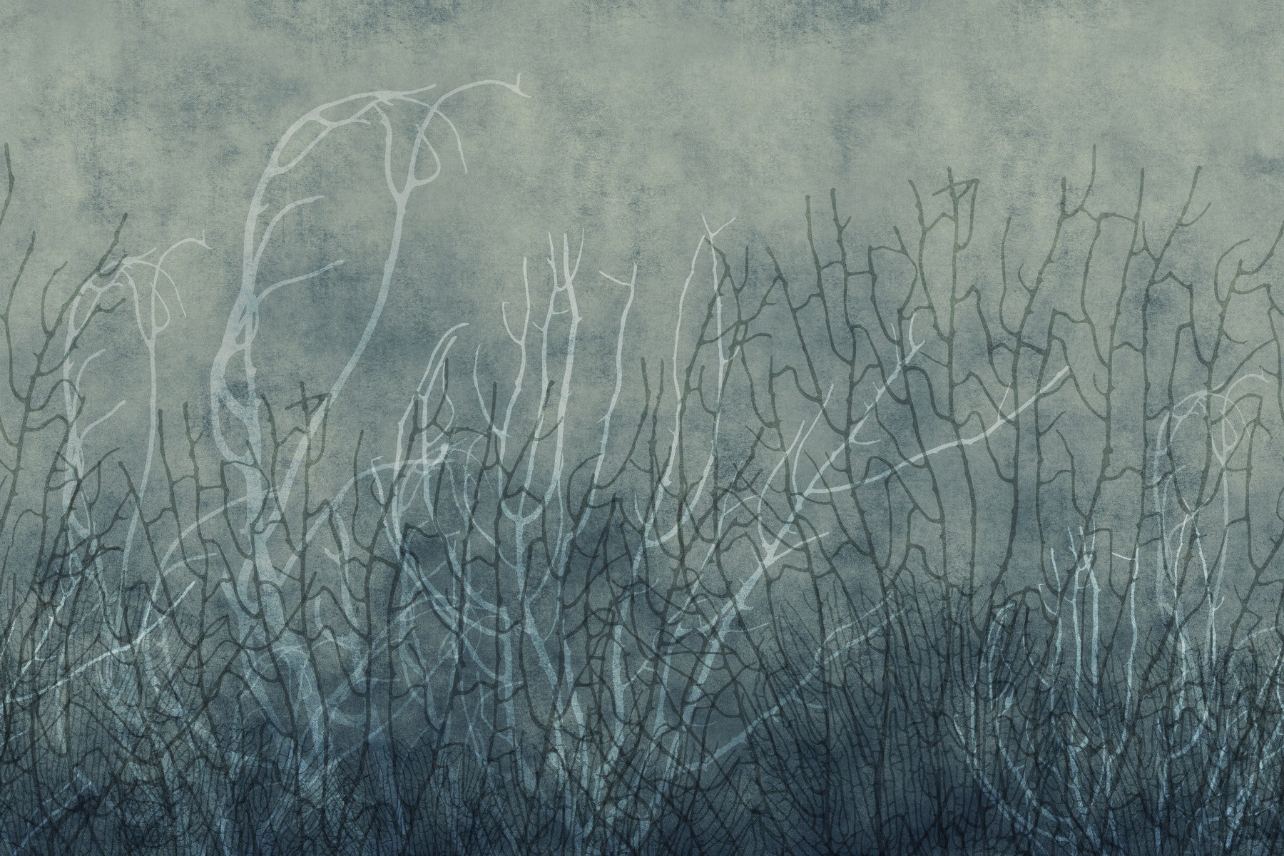 Sea Fans - Deep Lake Wall Mural