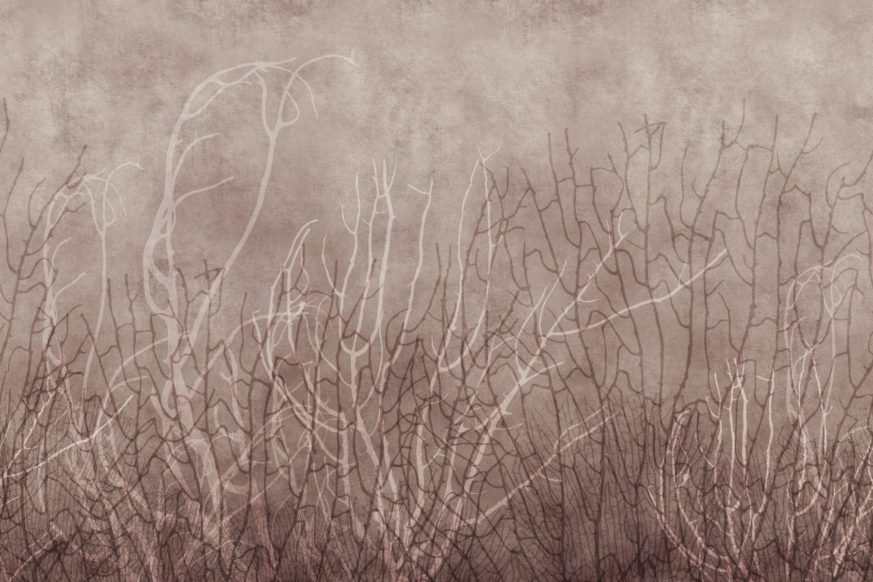 Sea Fans - Mauve Plum Wall Mural