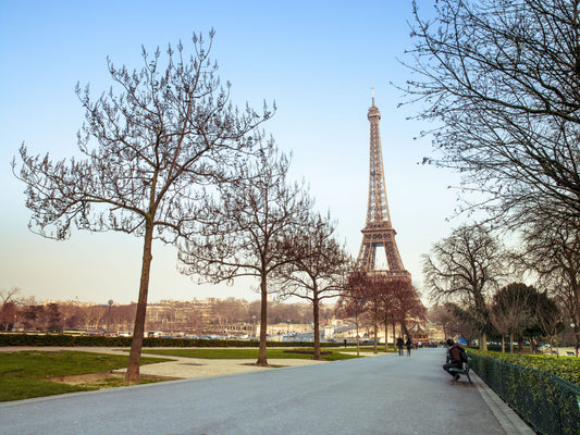 Parisian Morning Pathway Wallpaper⁠