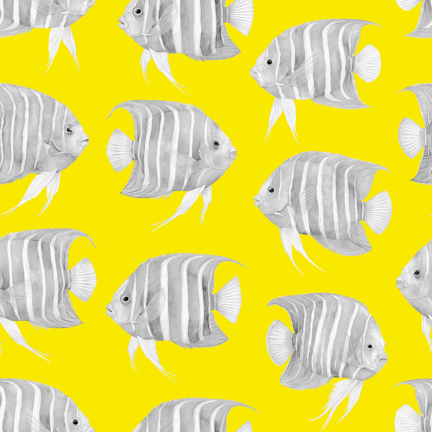 Papier peint Karli le poisson
