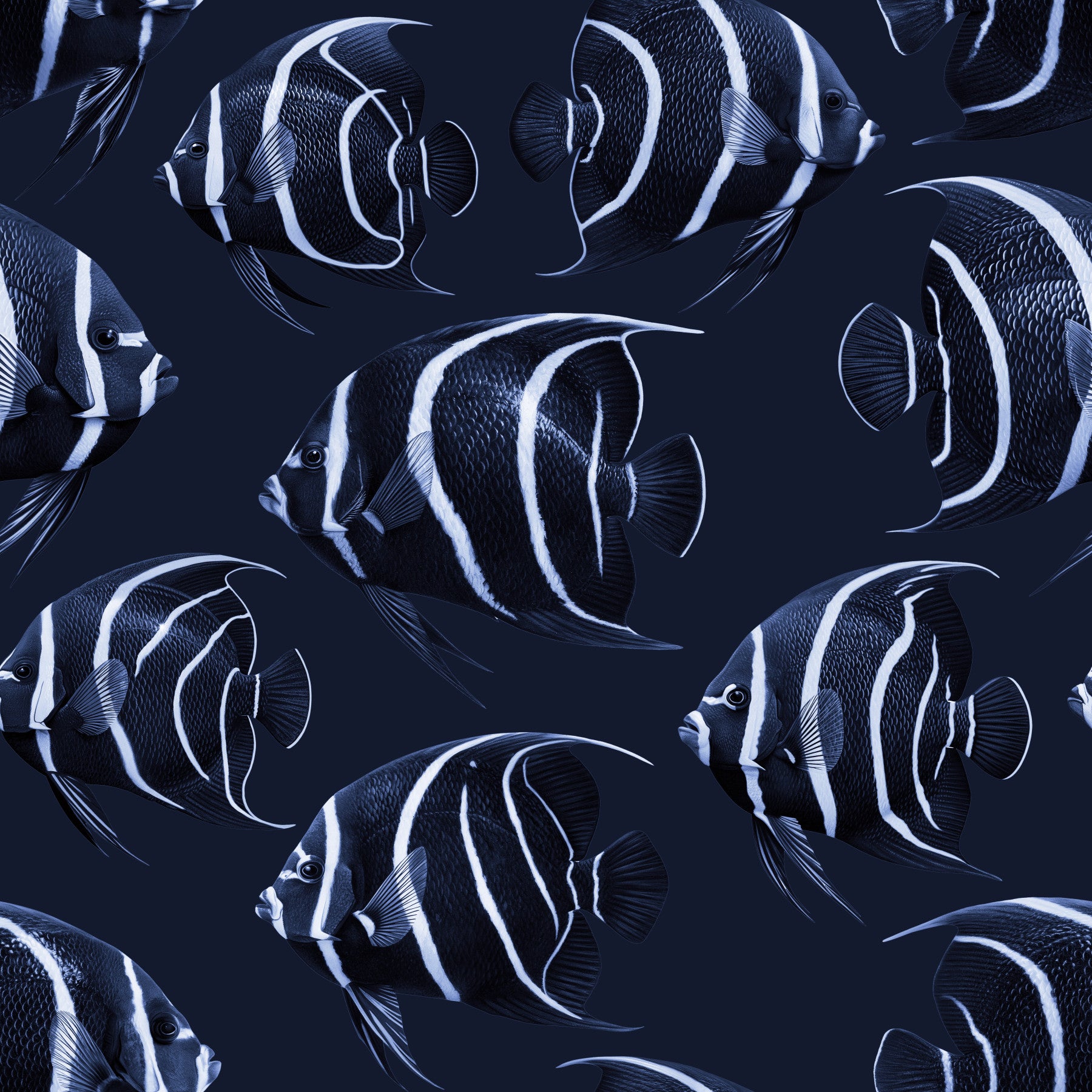 Tapeta Angel The Fish