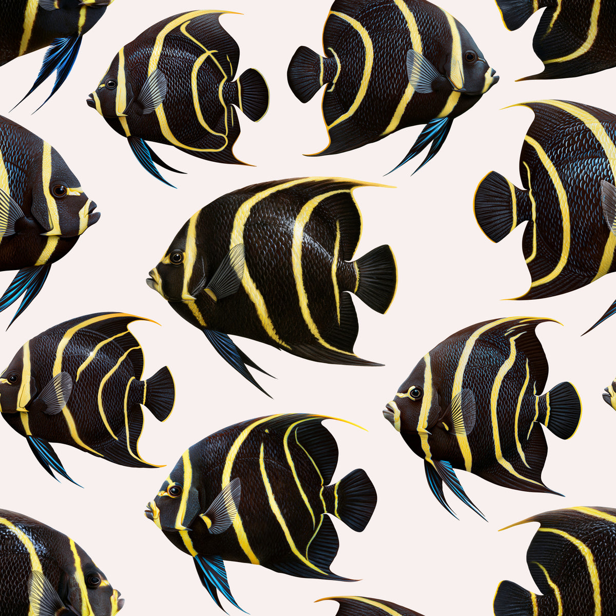 Angel der Fisch 01 Tapete in your room — zoomed