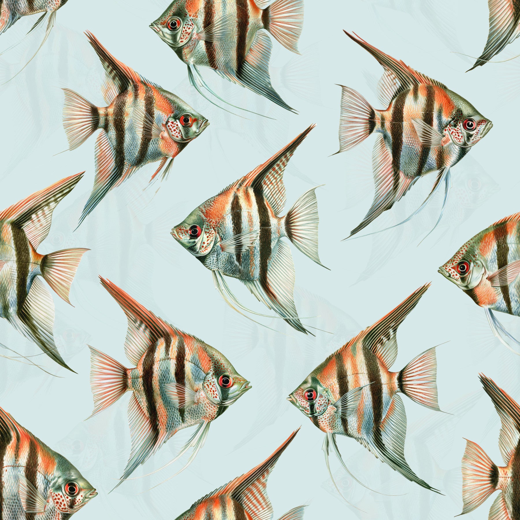 Origon The Fish 02 Wallpaper⁠