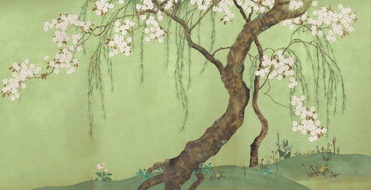 Weeping Cherry Blossom Willow Scene Wall Mural