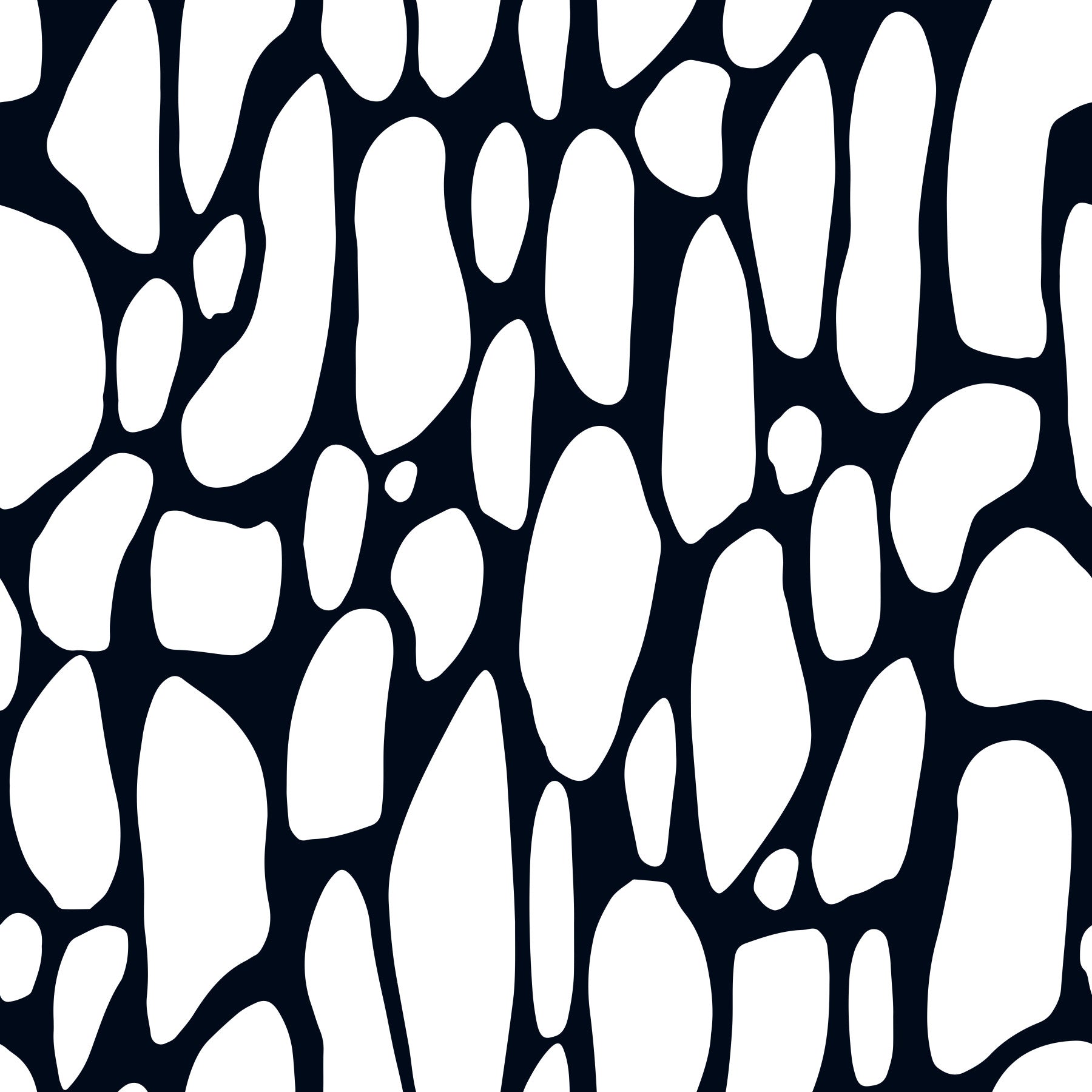 Papier peint galets monochromes organiques