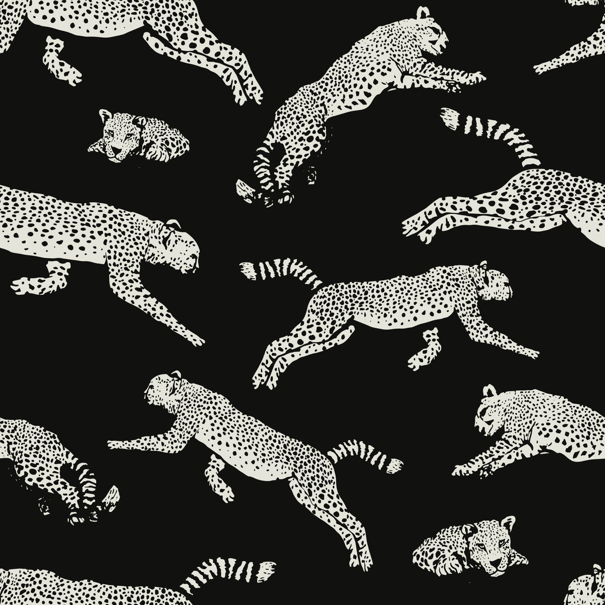 Papier peint à motif de léopards en mouvement monochrome in your room — zoomed
