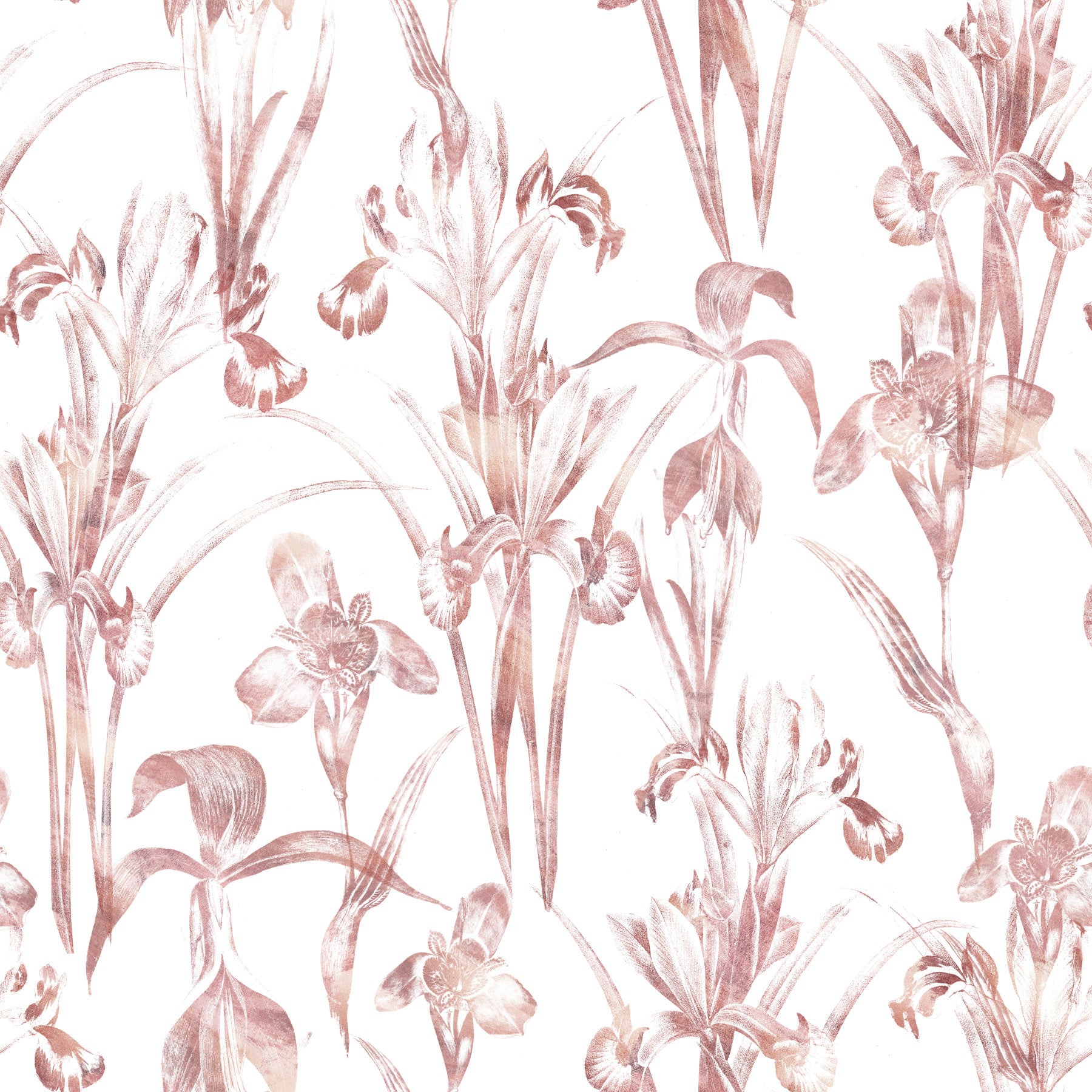 Æterisk blush-iris-have-tapet