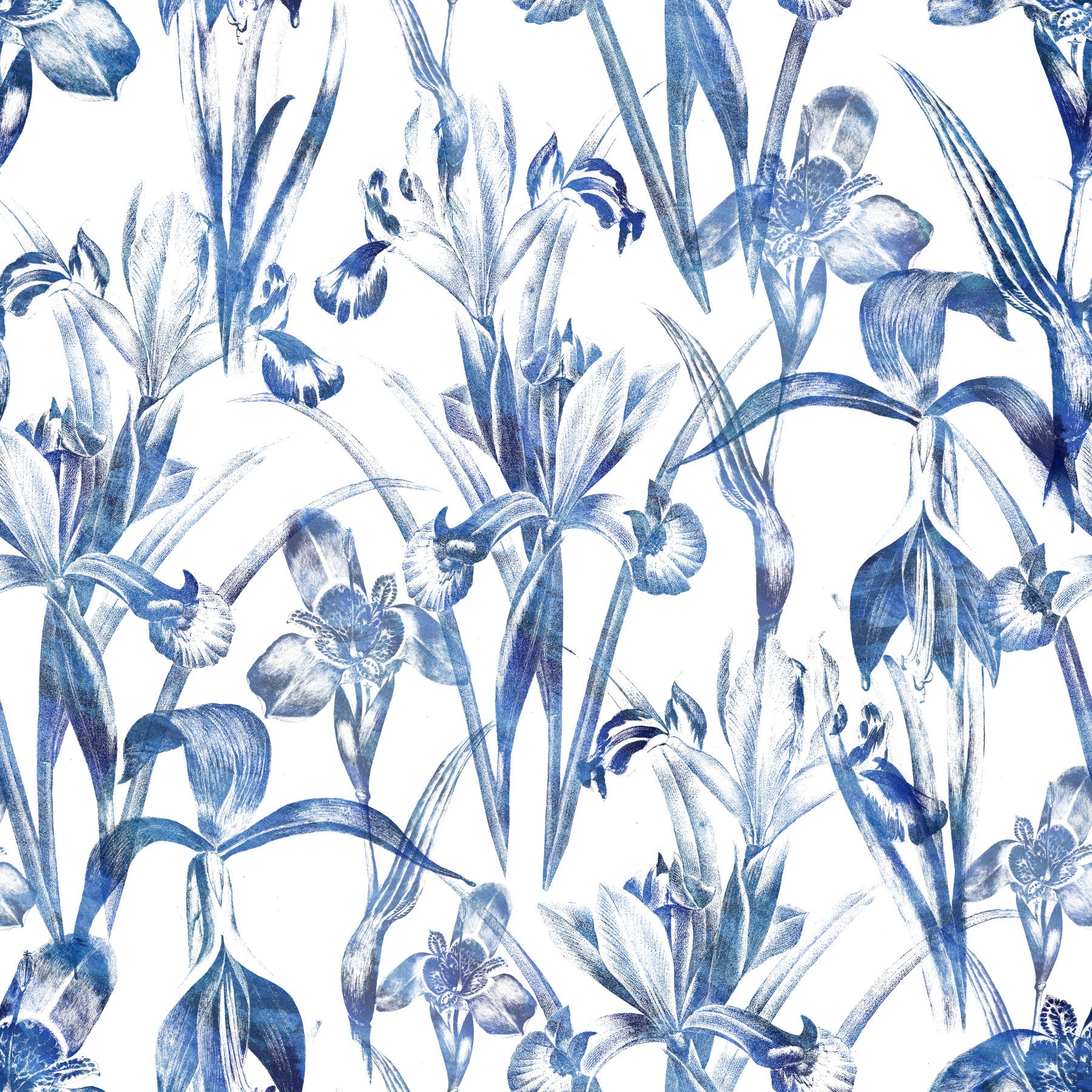 Indigoblaue botanische Skizzen-Tapete