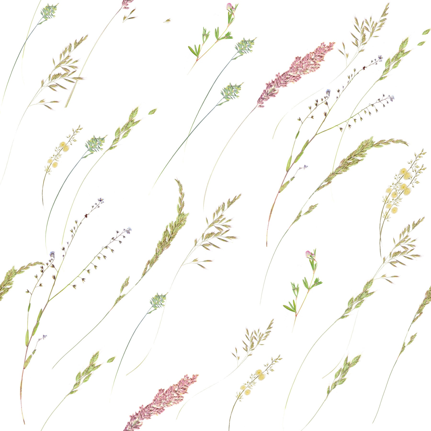 Rustic Meadow Sprigs -tapetti