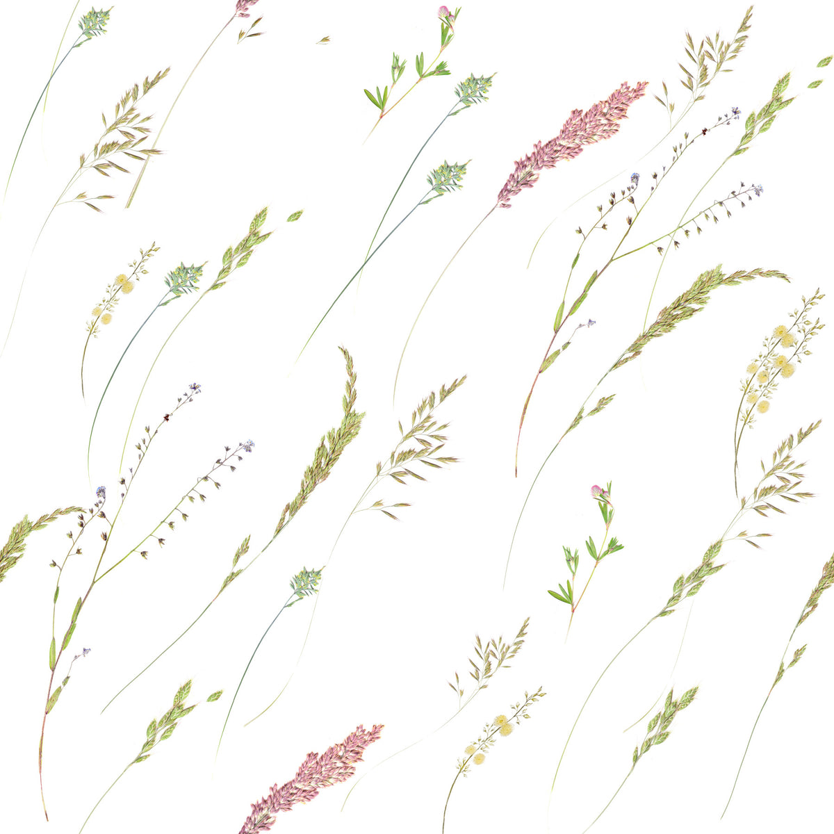 Tapete „Rustikale Wiesen-Zweige“ in your room — zoomed