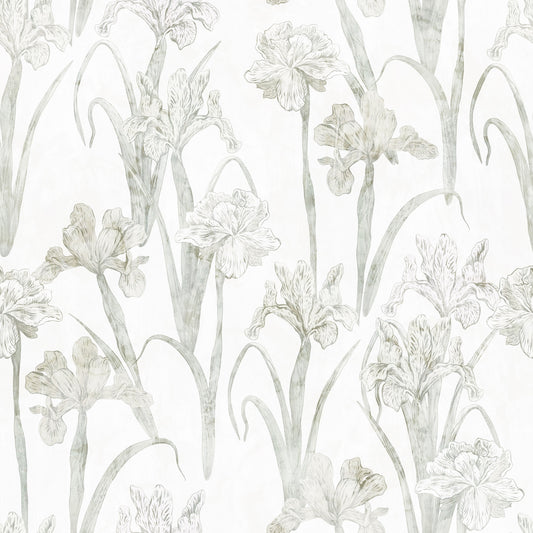 Serene Botanical Sketch Wallpaper⁠